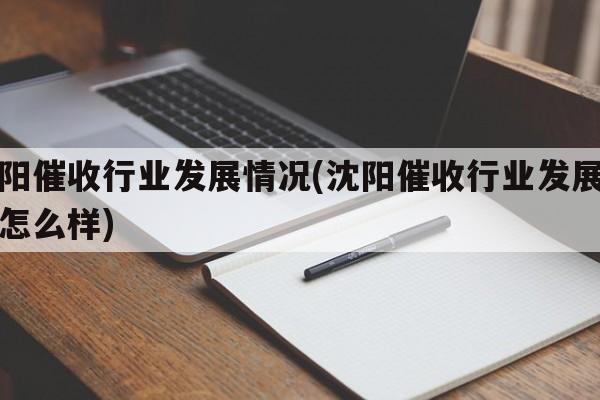 沈阳催收行业发展情况(沈阳催收行业发展情况怎么样)